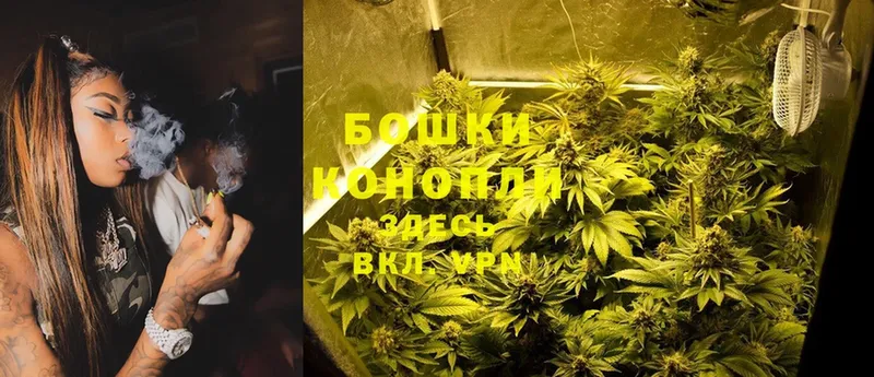 Каннабис White Widow  купить наркотики цена  гидра как зайти  Рассказово 